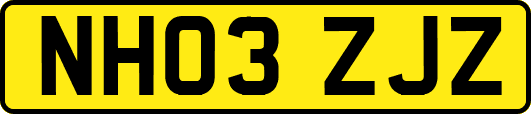 NH03ZJZ