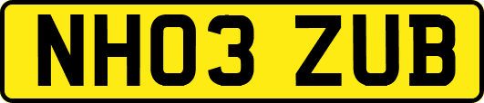 NH03ZUB