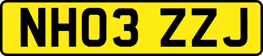 NH03ZZJ