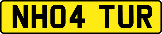 NH04TUR