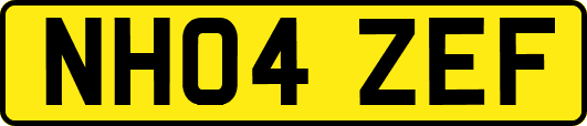 NH04ZEF