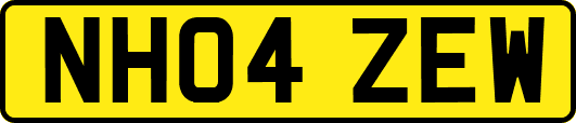 NH04ZEW