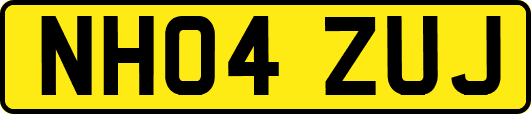 NH04ZUJ