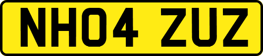 NH04ZUZ