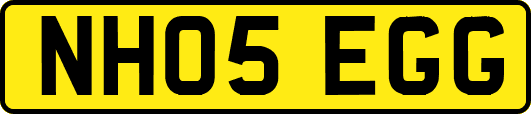 NH05EGG