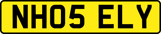 NH05ELY