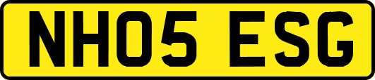 NH05ESG
