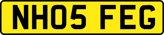 NH05FEG