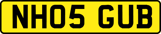 NH05GUB