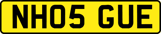 NH05GUE