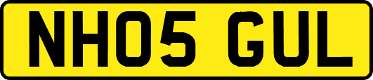 NH05GUL