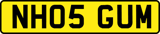 NH05GUM