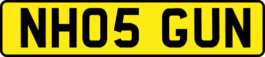 NH05GUN