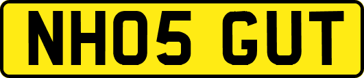 NH05GUT