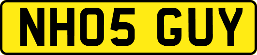 NH05GUY