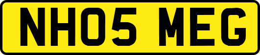 NH05MEG
