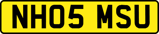 NH05MSU
