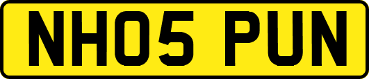 NH05PUN