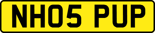 NH05PUP