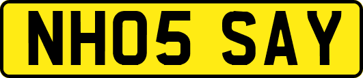 NH05SAY