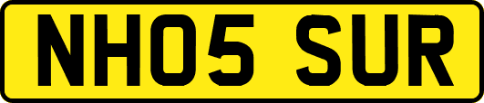 NH05SUR