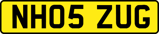 NH05ZUG