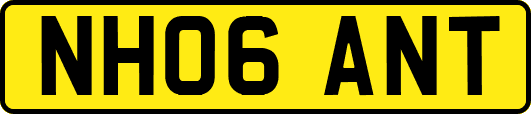 NH06ANT