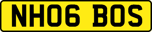 NH06BOS