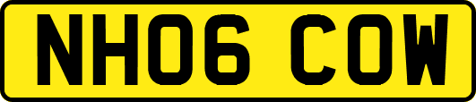 NH06COW