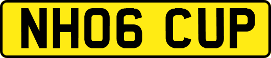 NH06CUP