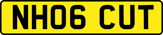 NH06CUT