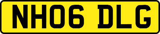 NH06DLG