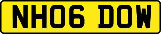 NH06DOW