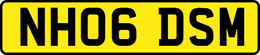 NH06DSM
