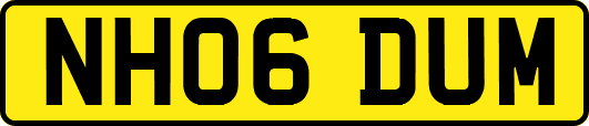 NH06DUM