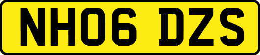 NH06DZS