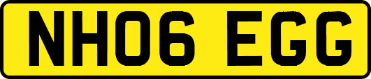 NH06EGG
