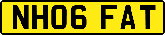NH06FAT