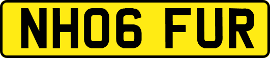 NH06FUR