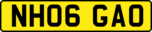 NH06GAO