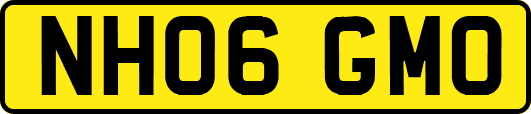 NH06GMO