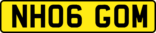 NH06GOM