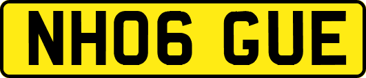 NH06GUE