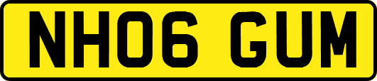 NH06GUM