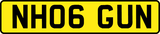 NH06GUN