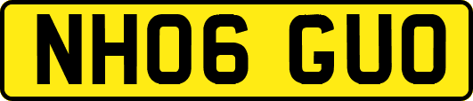 NH06GUO