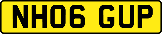 NH06GUP