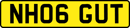 NH06GUT