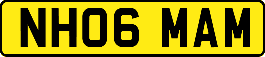 NH06MAM