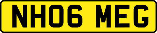 NH06MEG